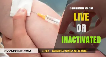 Understanding Meningitis Vaccines: Live vs. Inactivated - What You Need to Know