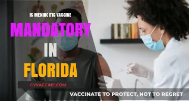 Meningitis Vaccine Requirements in Florida: What You Need to Know