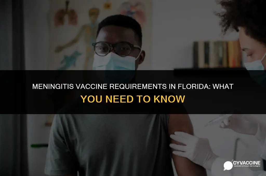 is meningitis vaccine mandatory in florida