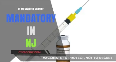 Understanding Meningitis Vaccine Requirements in New Jersey
