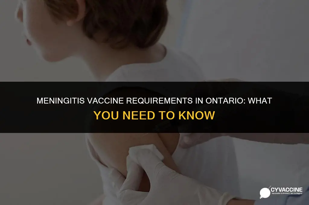 is meningitis vaccine mandatory in ontario