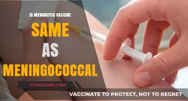 Understanding the Difference: Meningitis Vaccine vs. Meningococcal Vaccine