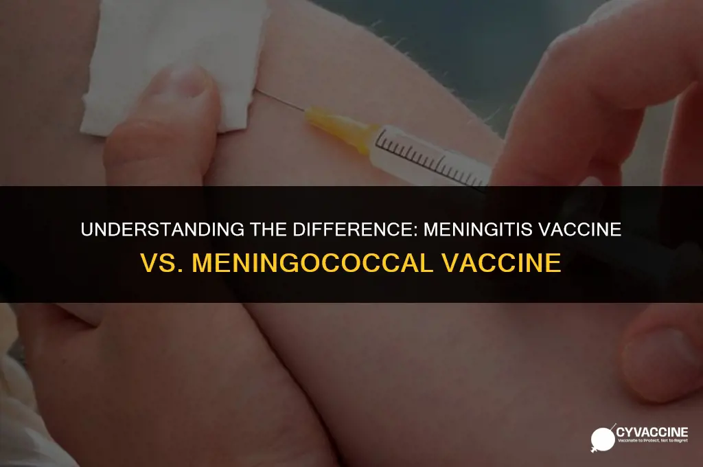 is meningitis vaccine same as meningococcal