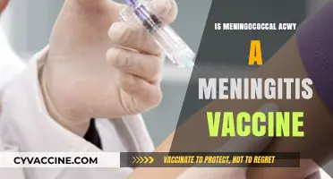 Understanding Meningococcal ACWY: Is It the Right Meningitis Vaccine for You?