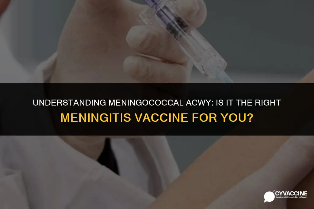 is meningococcal acwy a meningitis vaccine