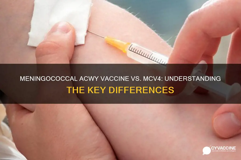 is meningococcal acwy vaccine the same as mcv4