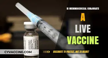 Understanding Meningococcal Conjugate Vaccine: Is It Live or Inactivated?