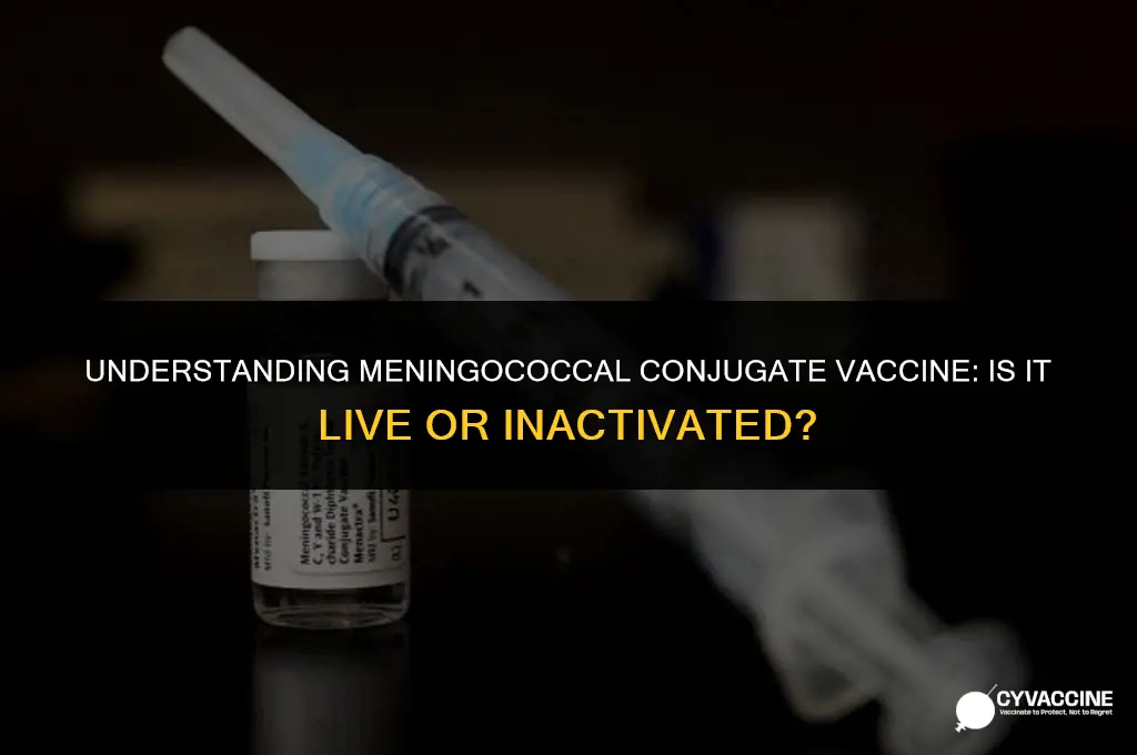 is meningococcal conjugate a live vaccine