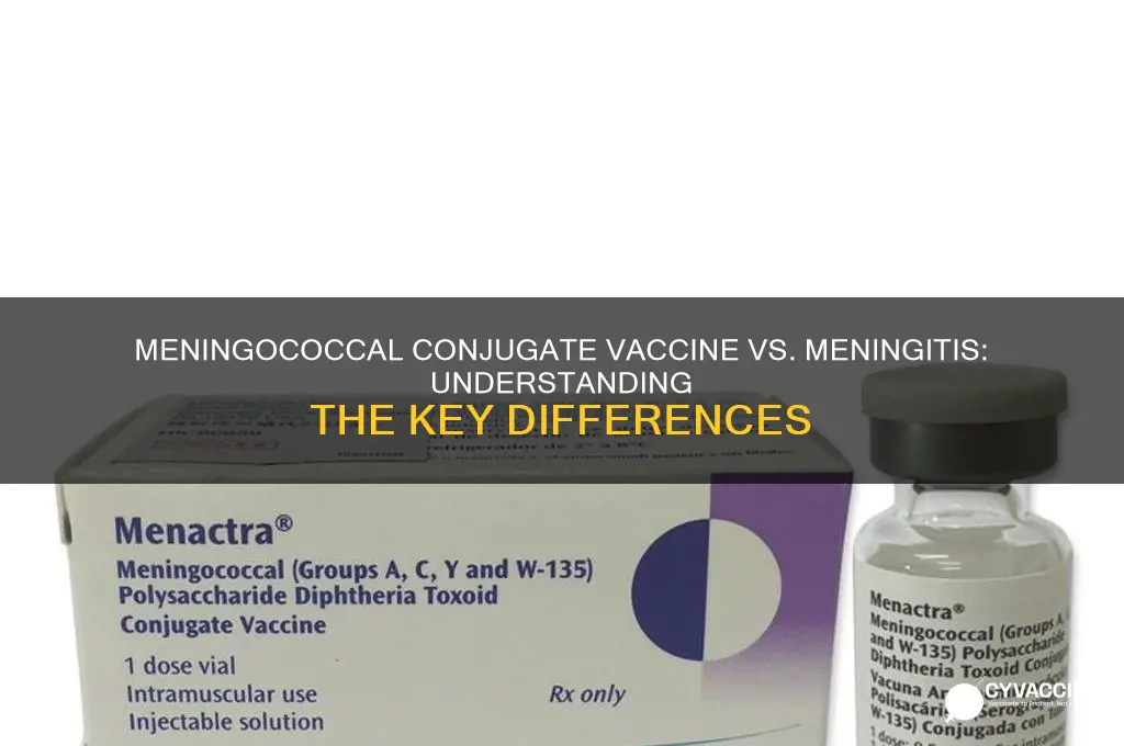 is meningococcal conjugate vaccine the same as meningitis