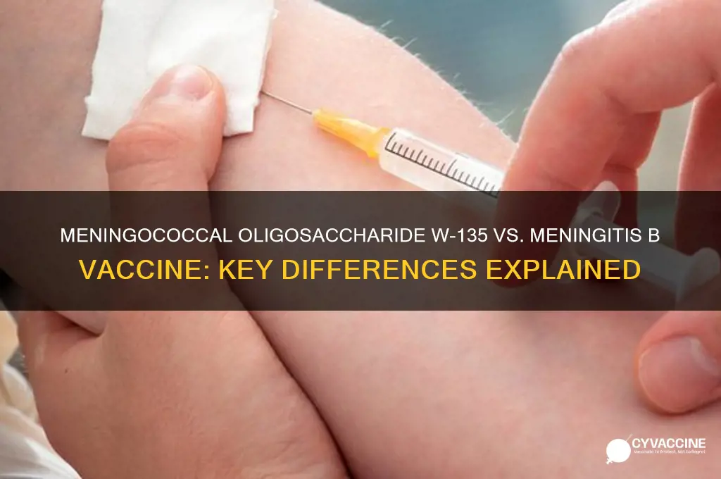 is meningococcal oligosaccharide w 135 menengitus b vaccine