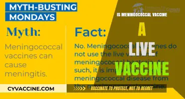 Is the Meningococcal Vaccine Live? Understanding Its Composition and Safety