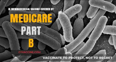 Medicare Part B Coverage for Meningococcal Vaccine: What You Need to Know