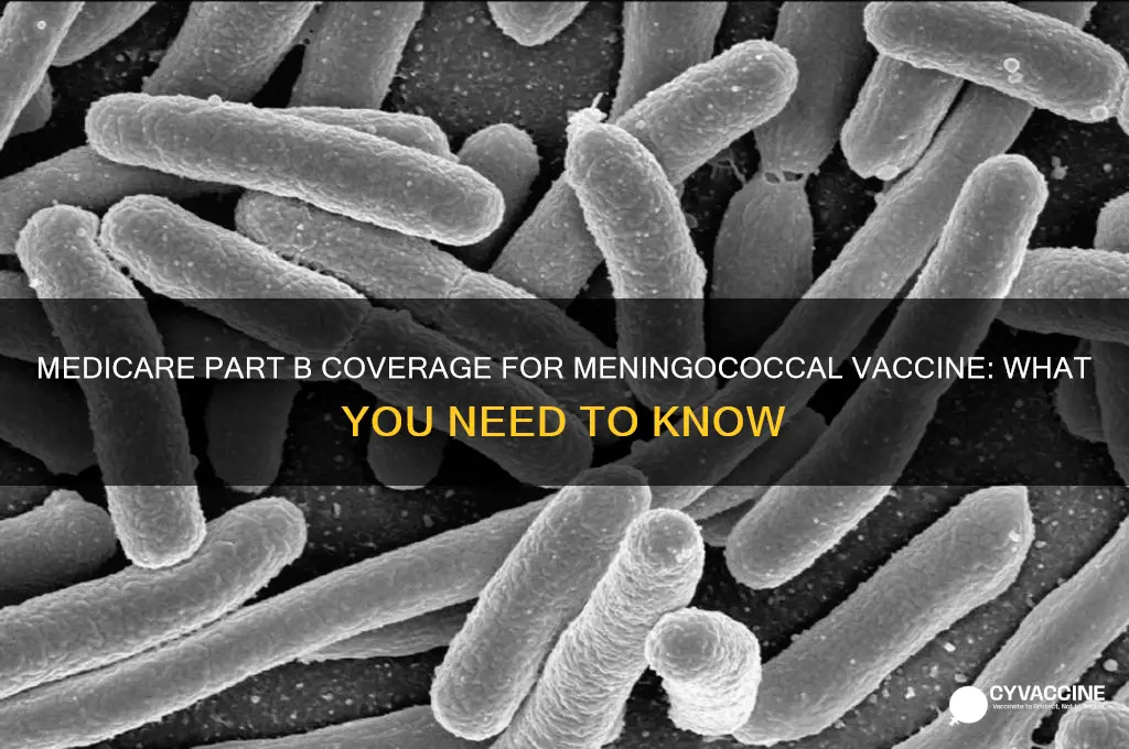 is meningococcal vaccine covered by medicare part b