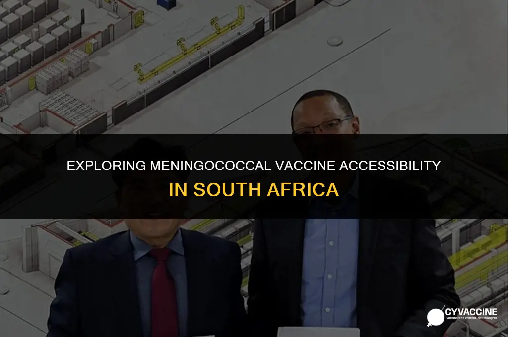 is meningococcal vaccine free in sa