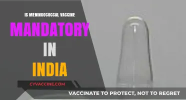 Meningococcal Vaccine in India: Understanding Its Importance and Mandate