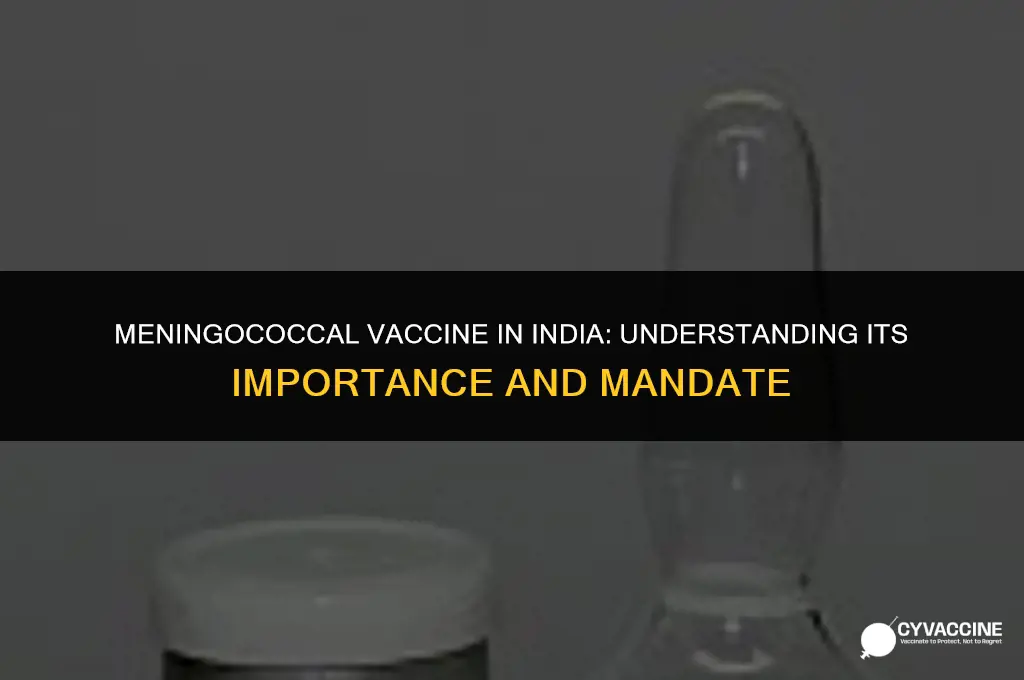 is meningococcal vaccine mandatory in india