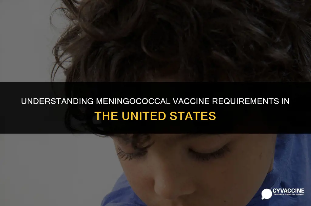 is meningococcal vaccine mandatory in usa