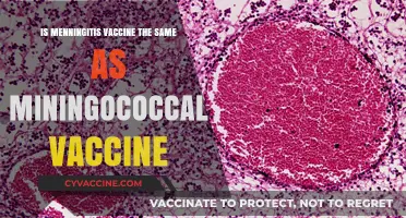 Meningitis vs. Meningococcal Vaccine: Understanding the Key Differences