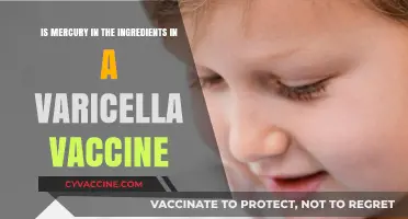 Mercury in Varicella Vaccine: Fact or Fiction? Uncovering the Truth