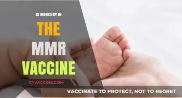 Unraveling the Truth: Mercury's Presence in the MMR Vaccine