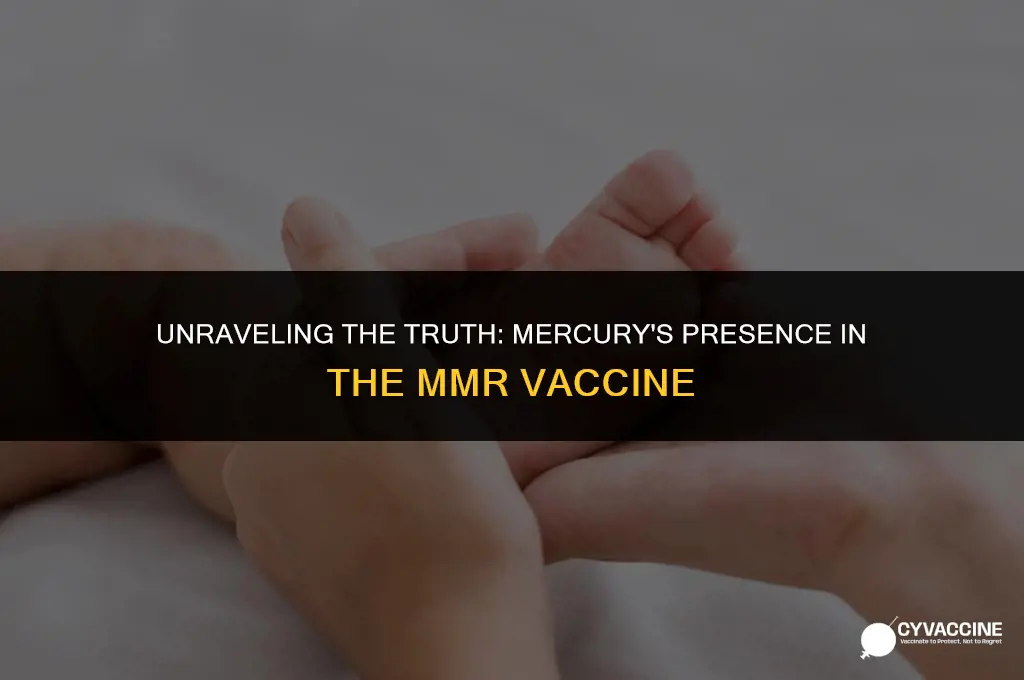 is mercury in the mmr vaccine