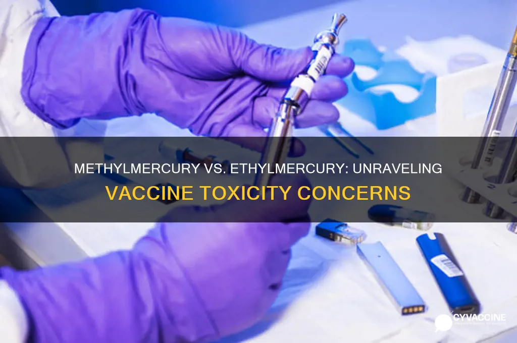 is methylmercury more toxic than ethyl mercury in vaccines