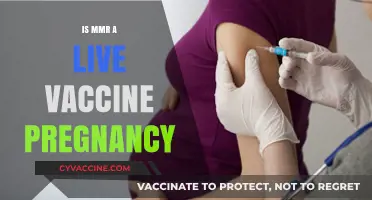 Understanding MMR Vaccine Safety During Pregnancy: A Comprehensive Guide