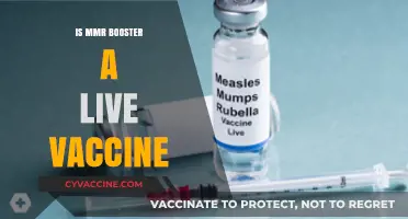 Understanding the MMR Booster: Is It a Live Vaccine?