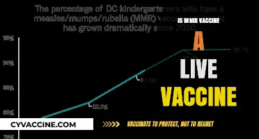 Is the MMR Vaccine Live? Understanding Its Composition and Safety