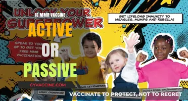 Unveiling the Truth: MMR Vaccine - Active or Passive Immunity?