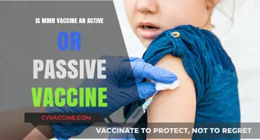 MMR Vaccine: Understanding Its Active Immunity Mechanism and Benefits