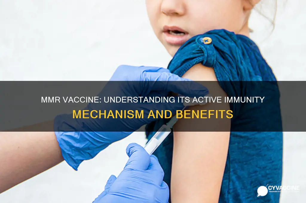 is mmr vaccine an active or passive vaccine