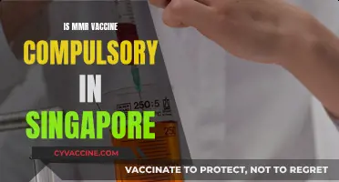 Understanding MMR Vaccination Requirements in Singapore: A Guide