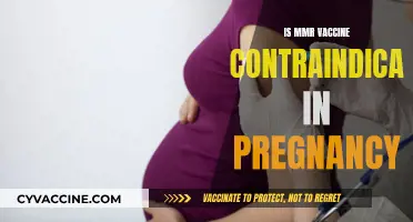 Exploring MMR Vaccine Safety During Pregnancy: What You Need to Know