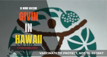 Exploring MMR Vaccination Practices in Hawaii: A Comprehensive Guide
