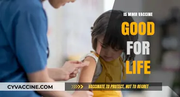 Is the MMR Vaccine a Lifelong Shield Against Measles, Mumps, and Rubella?