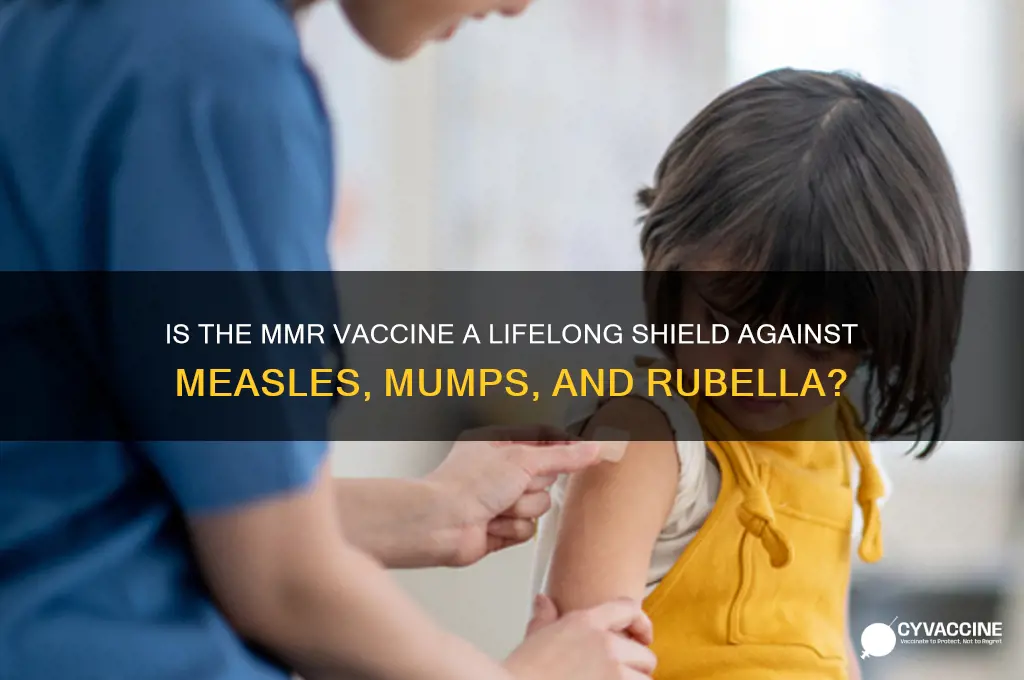 is mmr vaccine good for life