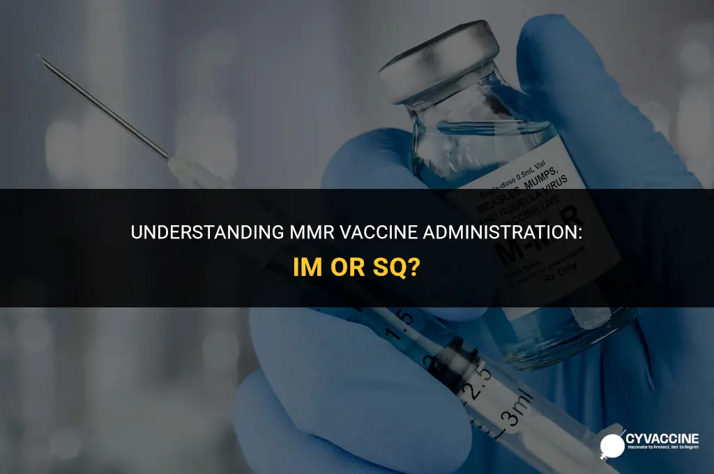 is mmr vaccine im or sq
