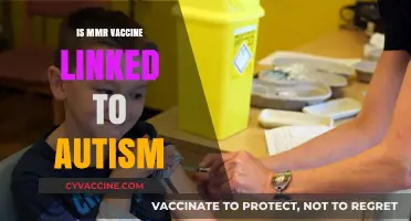 MMR Vaccine and Autism: Separating Facts from Misconceptions