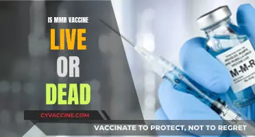 Understanding the MMR Vaccine: Live or Dead, and Why It Matters