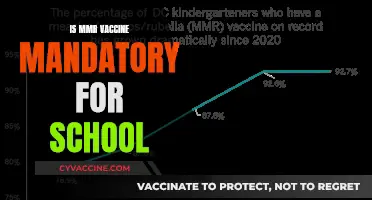 MMR Vaccine Mandate: What You Need to Know for School Enrollment
