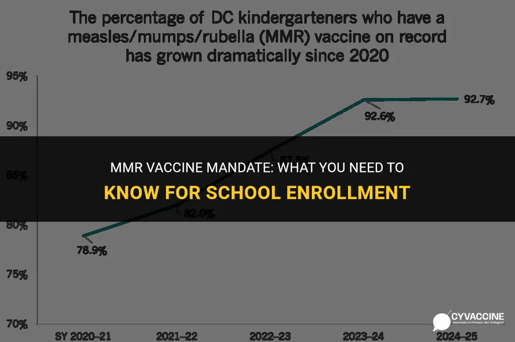 is mmr vaccine mandatory for school