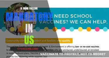 Understanding MMR Vaccine Requirements in the United States