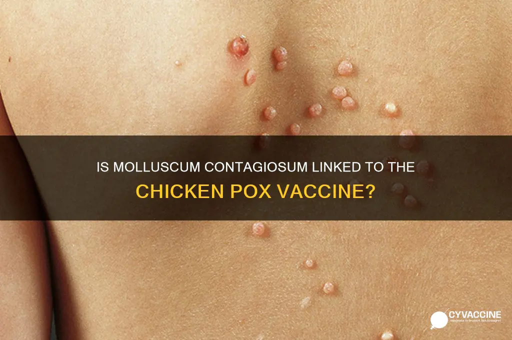 is molluscum contagiosum a result of chicken pox vaccine