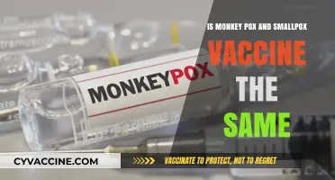 Monkeypox vs. Smallpox: Are Their Vaccines Interchangeable?