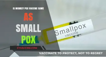 Monkeypox vs. Smallpox: Are Their Vaccines Interchangeable?