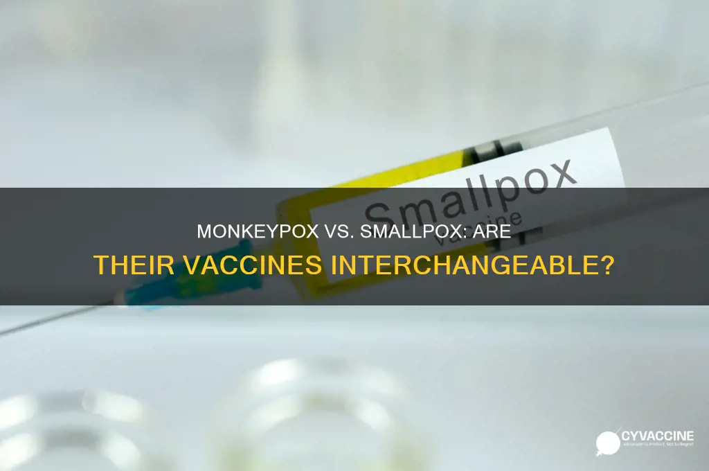 is monkey pox vaccine same as small pox