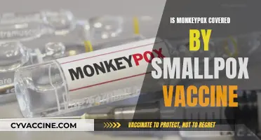 Does the Smallpox Vaccine Protect Against Monkeypox?