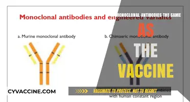 Monoclonal Antibodies vs. Vaccines: Understanding the Key Differences