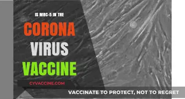 MRC-5 and COVID-19 Vaccines: Separating Fact from Fiction